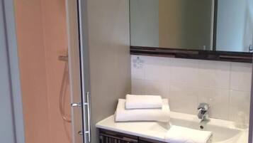 Une salle de bain avec une douche à parois de verre, un lavabo blanc avec une serviette, et un miroir au-dessus du lavabo.