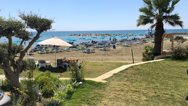 Une plage avec des transats et des parasols, un palmier, et une vue dégagée sur la mer.
