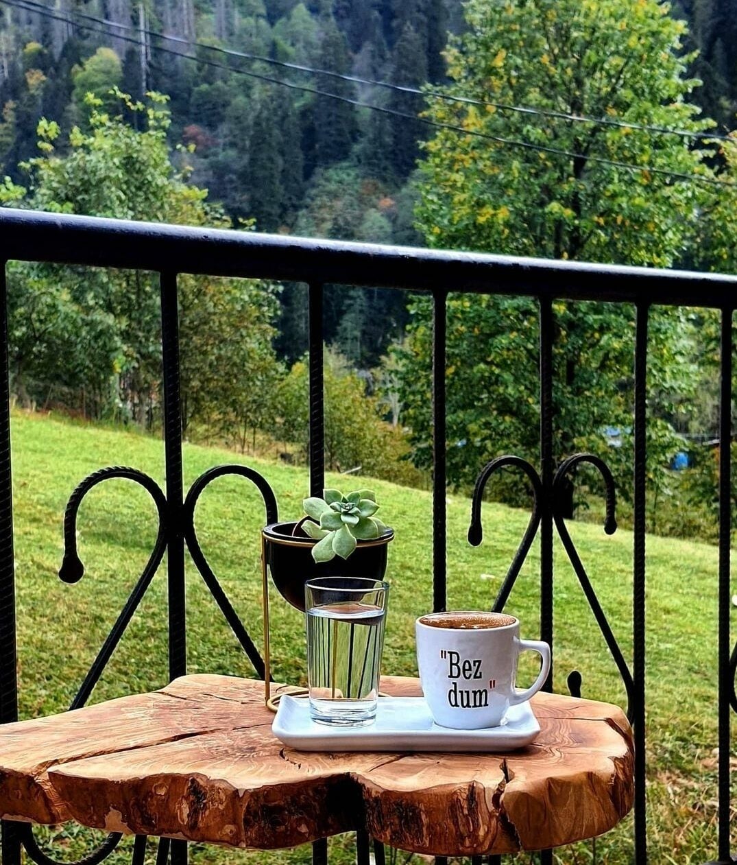 Terrasse/gårdhave