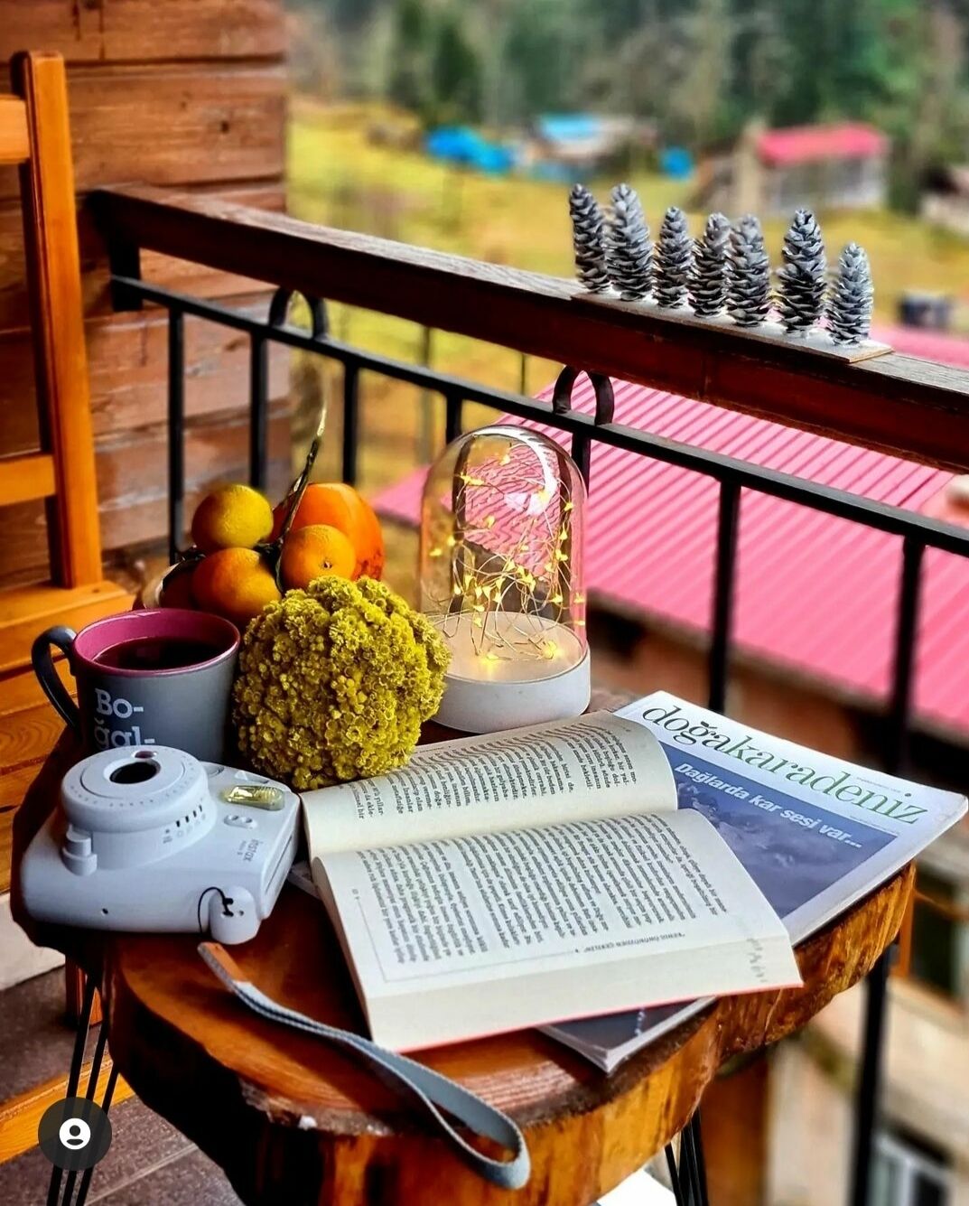 Una mesa de madera con una cámara, una taza, un libro, un globo decorativo y piñas en un balcón.
