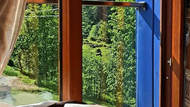 An open book on a table by a window with a view of a forested landscape. - Ayder Koru Otel (Camlihemsin)