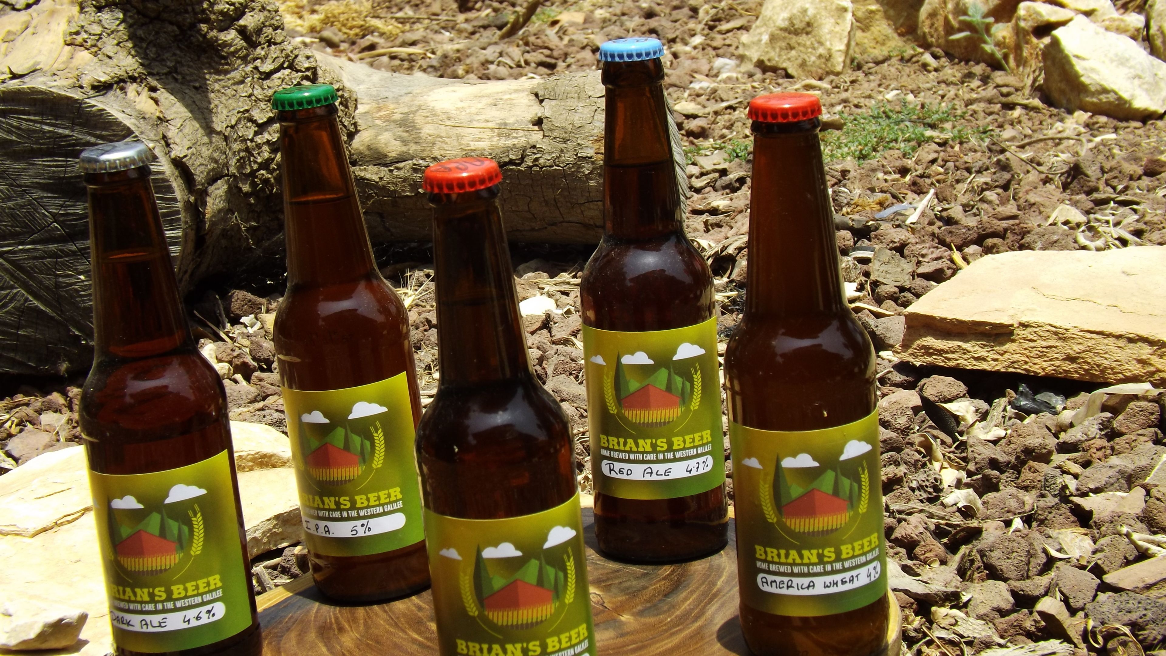 Quatre bouteilles de la bière de Brian sont posées sur une surface en bois à l’extérieur, avec des rochers et des troncs d’arbres en arrière-plan.