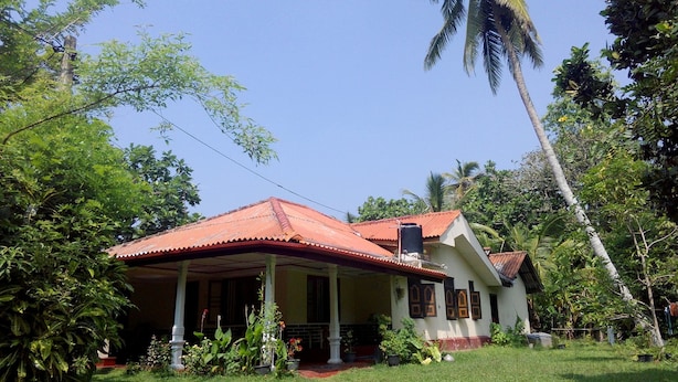 Una casa con techo rojo, rodeada de abundante vegetación y una palmera.
