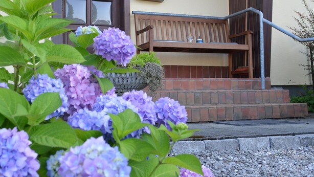 A building with a number '29' on the wall, a wooden bench outside, and a flower bed with purple flowers. - Ferienwohnung Bergisch Land (Wermelskirchen)