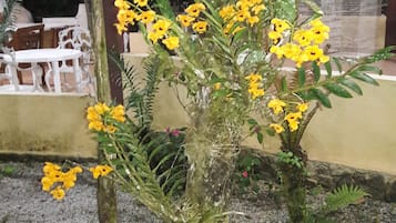 Jardines del alojamiento