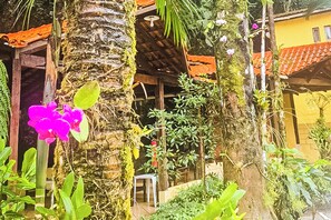 Un jardin tropical avec un palmier, une chaise et un bâtiment doté d’un toit rouge.