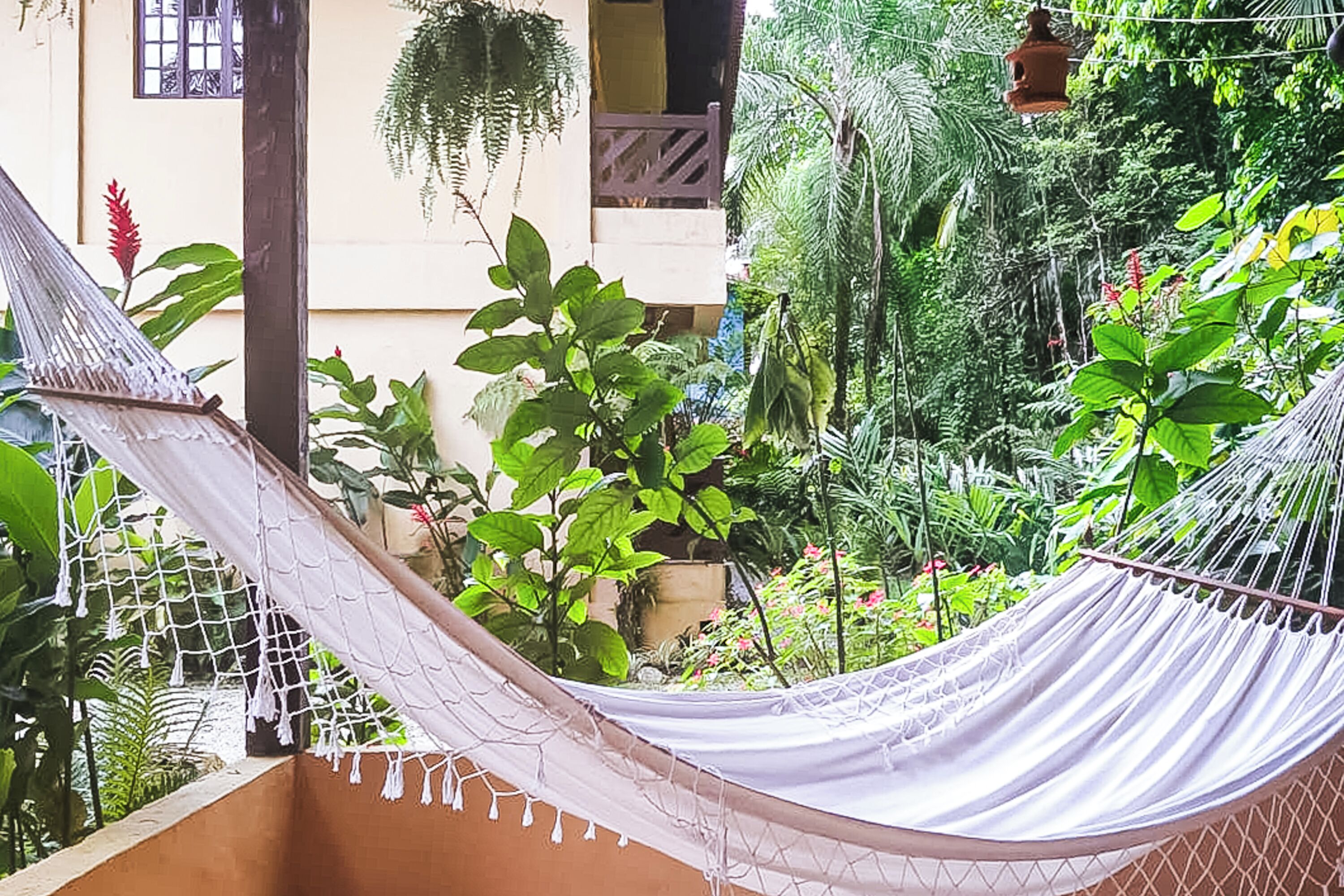 A hammock in a lush garden with a building in the background.