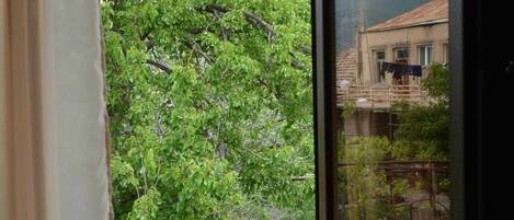 Vue depuis l’hébergement