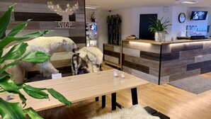 A modern interior with a wooden reception desk, a polar bear exhibit, and a plant. - Hotel Sisimiut (Sisimiut)
