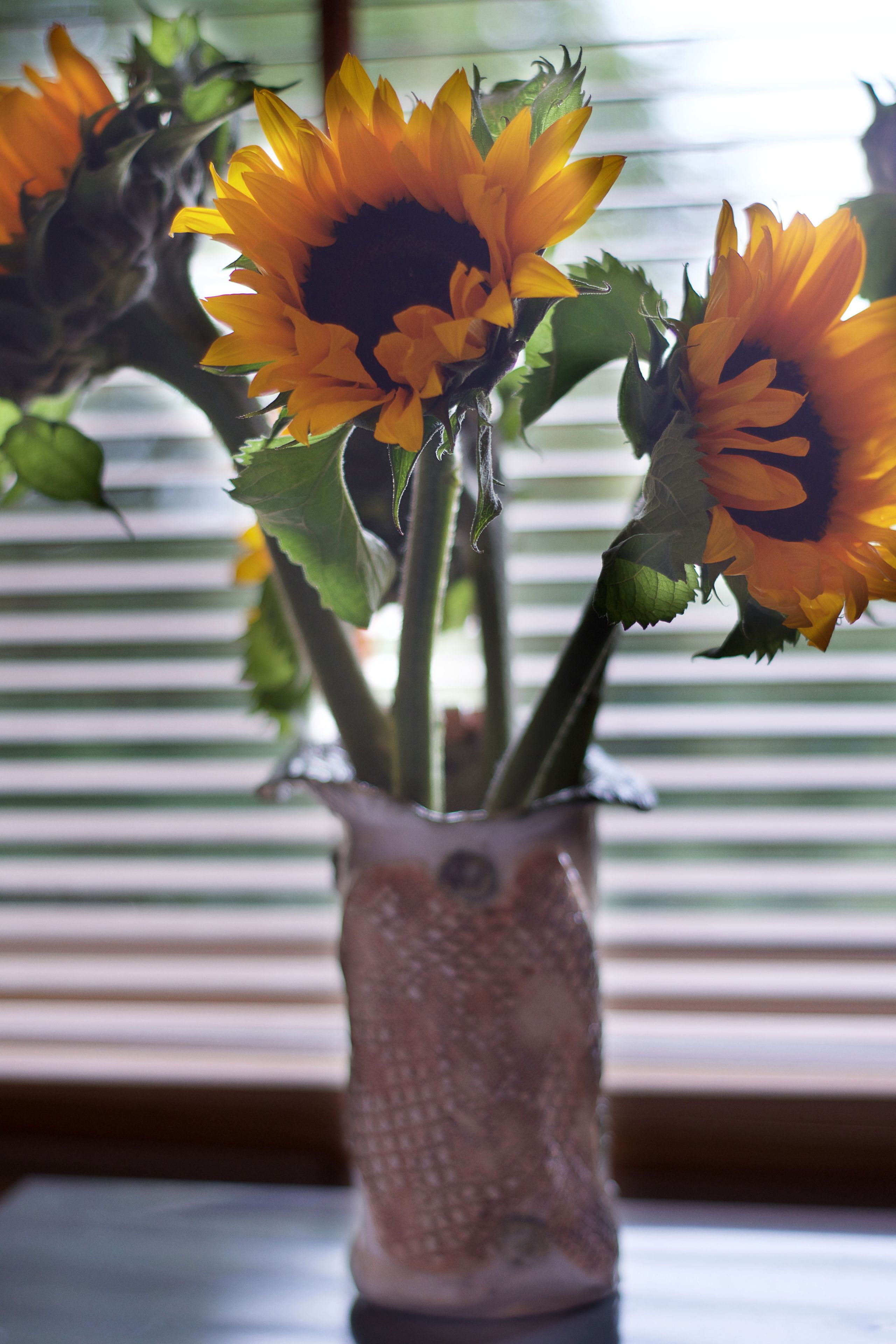 A vase with sunflowers on a table.