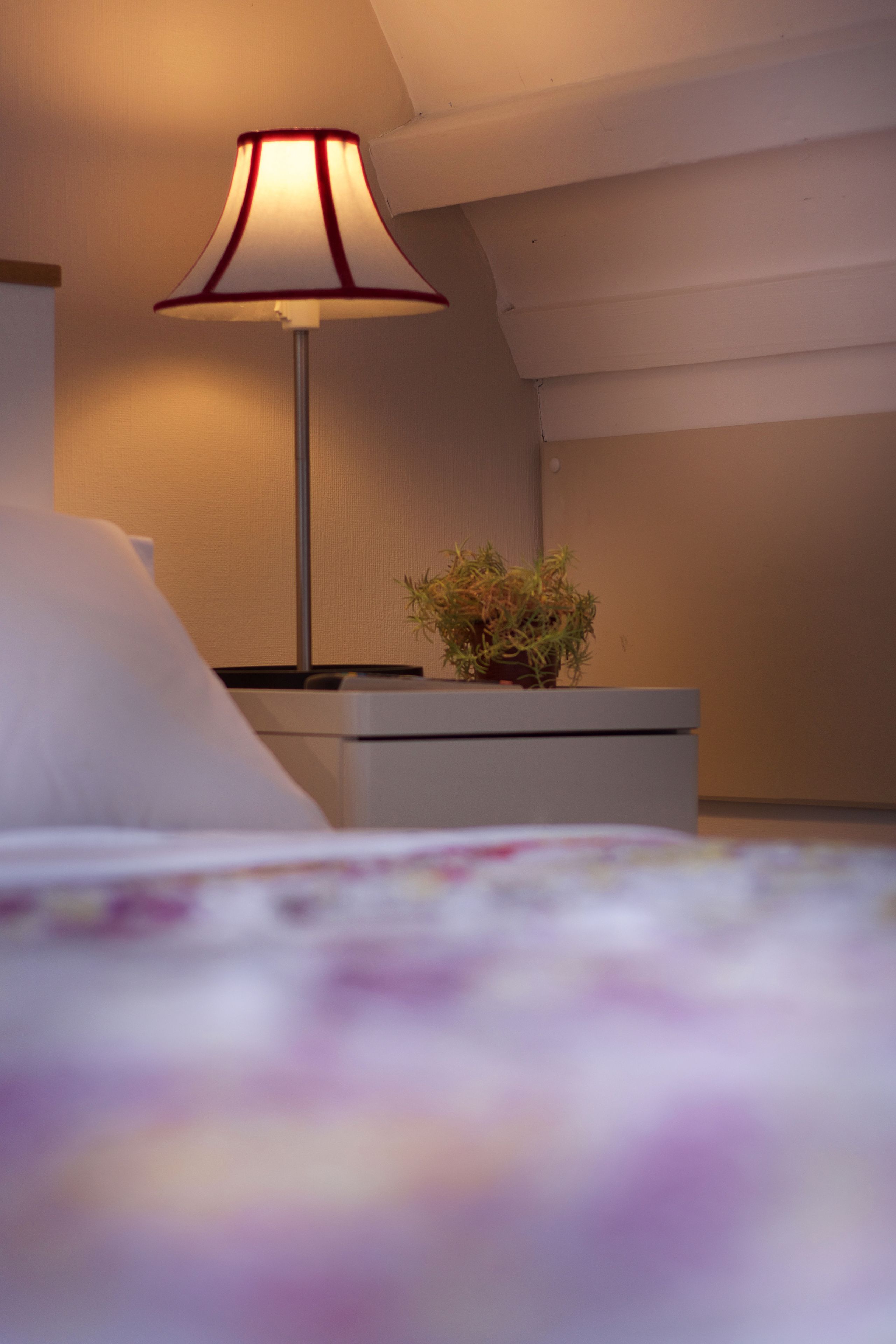 A bedroom with a bed, a bedside table with a lamp, and a small potted plant.