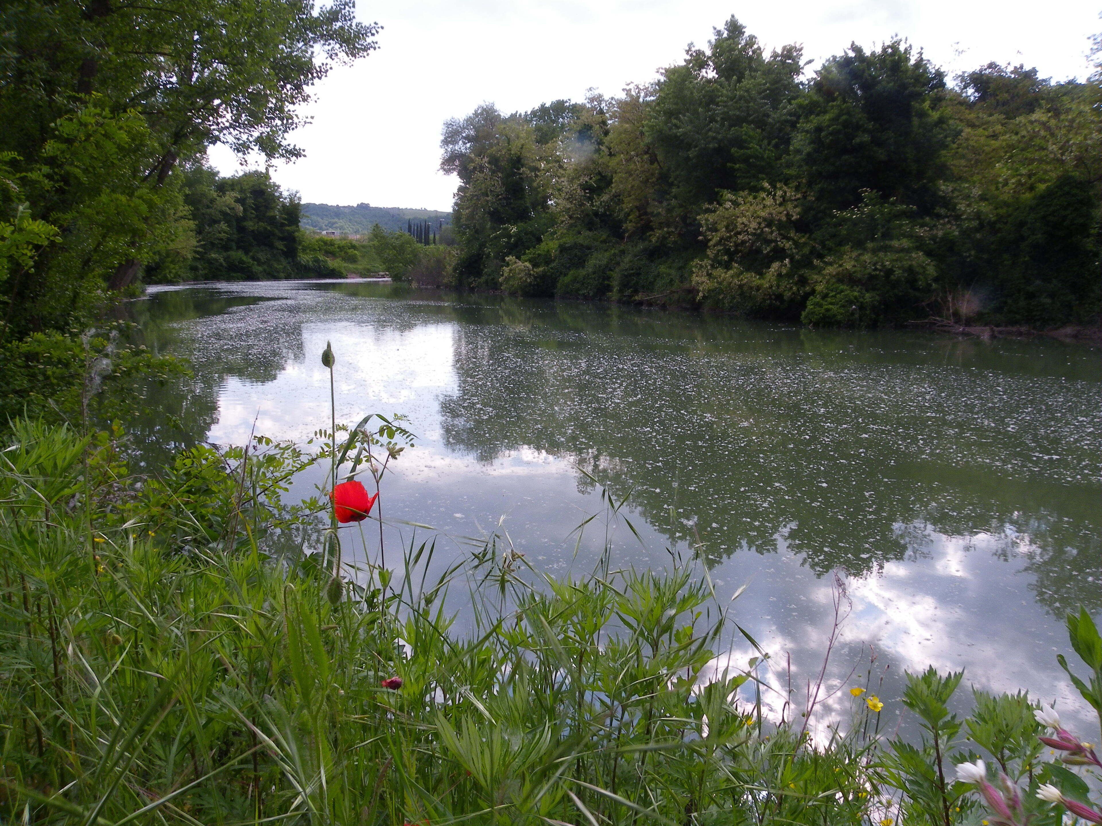 Foto - Al Ponte Vecchio