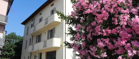 Facciata della struttura