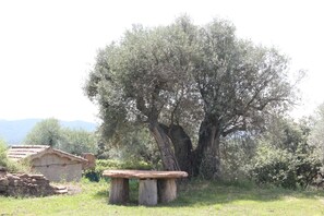 Esterni
