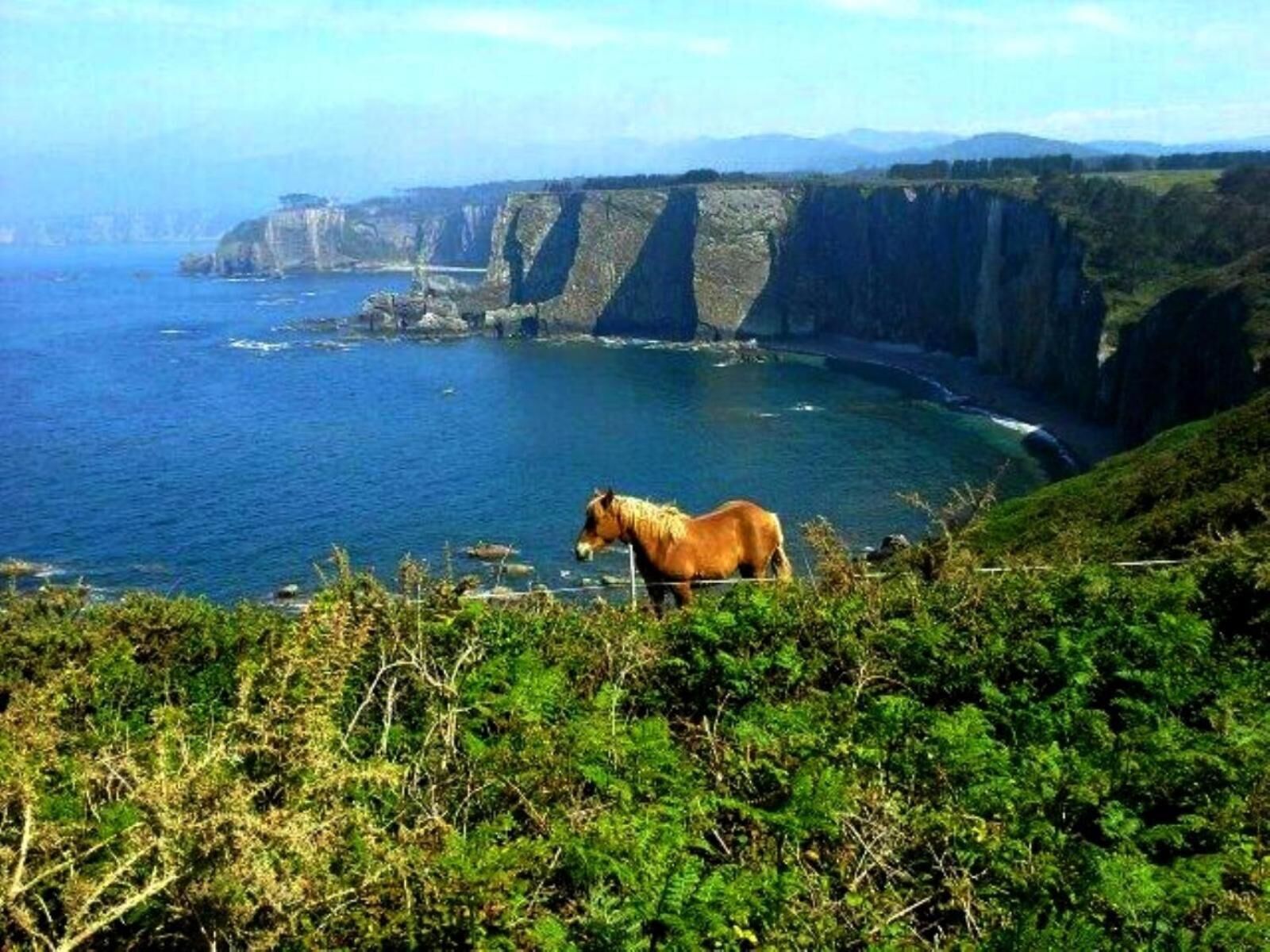 A coastal landscape with cliffs and a horse.