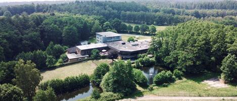 A modern building with a flat roof, surrounded by dense forest and a small pond.