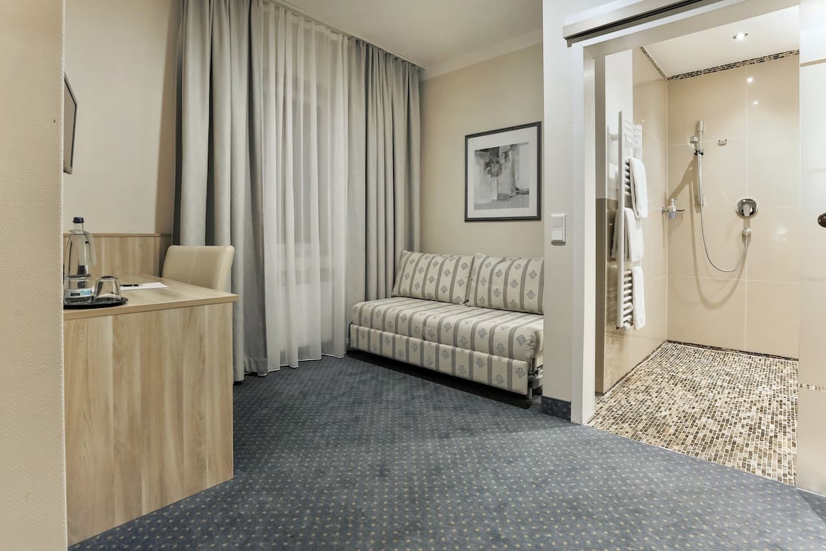 standard double room (large ) | living area | flat-screen tv