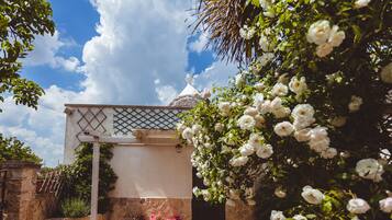 Apartment | Terrace/patio