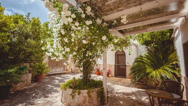 Un cortile con una pergola ricoperta di fiori bianchi, pareti in pietra e piante in vaso.