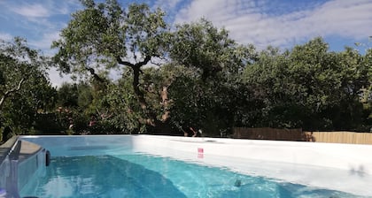 B&B Trullo Casa Rosa