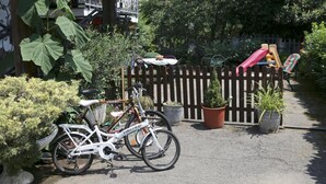 Ein Fahrrad steht neben einem Holzzaun mit Blumentöpfen und einer Rutsche im Hintergrund.