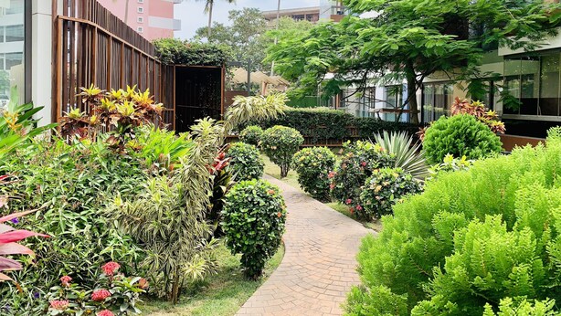 A landscaped garden with a paved walkway, various plants, and a wooden fence. - PLS Apartments - Cantonments (Accra)