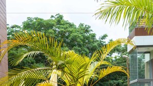 A well-maintained garden with palm trees, a curved pathway, and a person walking in the background. - PLS Apartments - Cantonments (Accra)