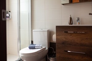 A modern bathroom with a white toilet, a glass shower enclosure, and wooden cabinetry. - Luxury Loft Lefkas (Lefkada)