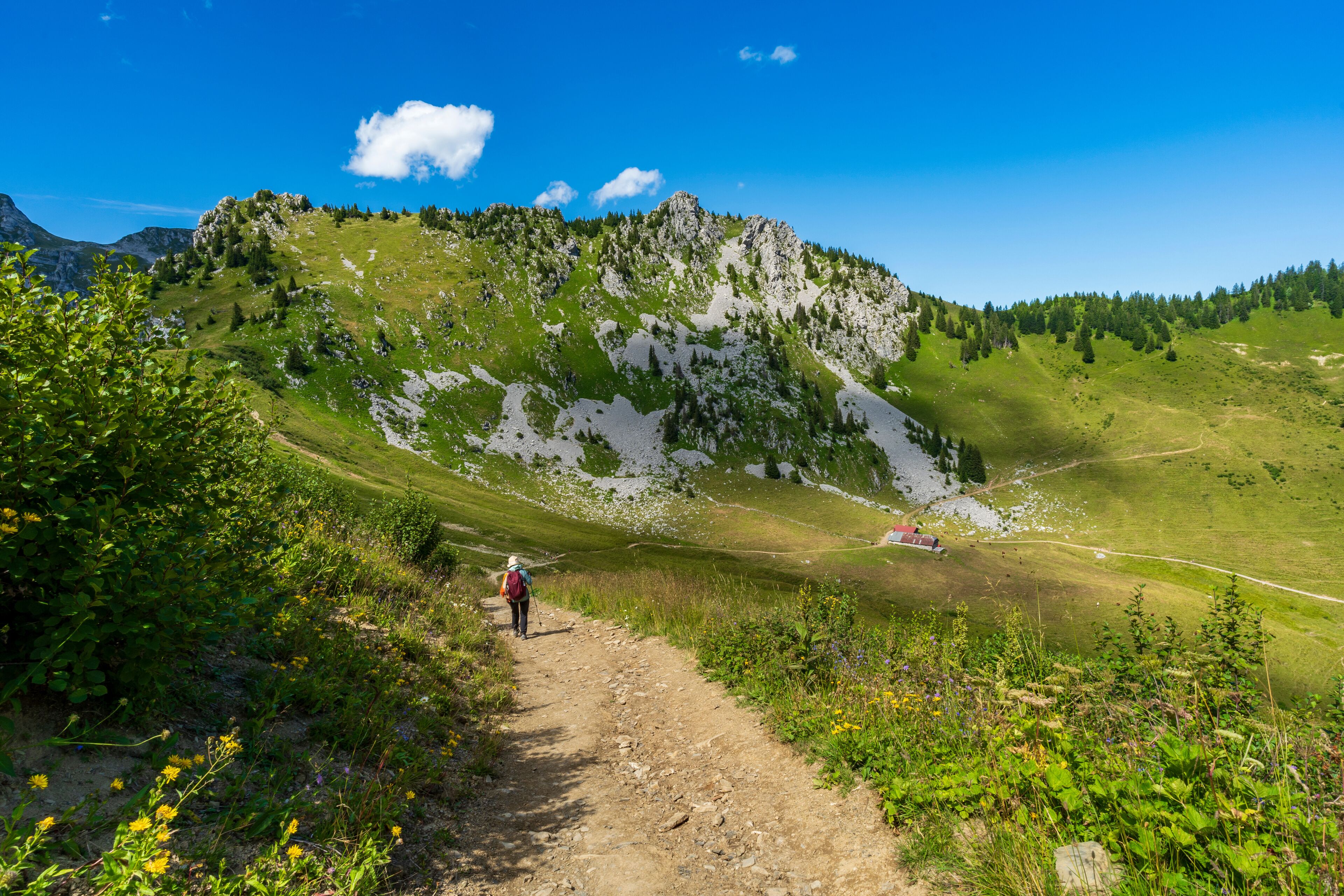 Een wandelpad dat naar een berg leidt, onder een heldere lucht.