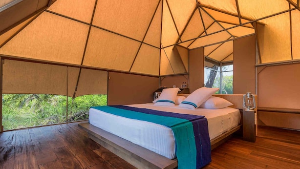 A tented accommodation room with a bed, wooden flooring, and a view of greenery outside. - Kodev (Kalpitiya)