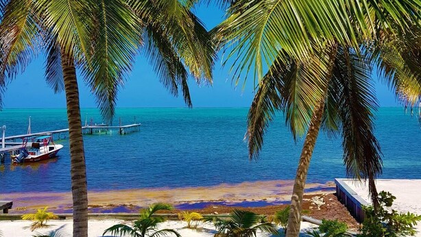 Una playa con palmeras, un barco y un cielo azul despejado.