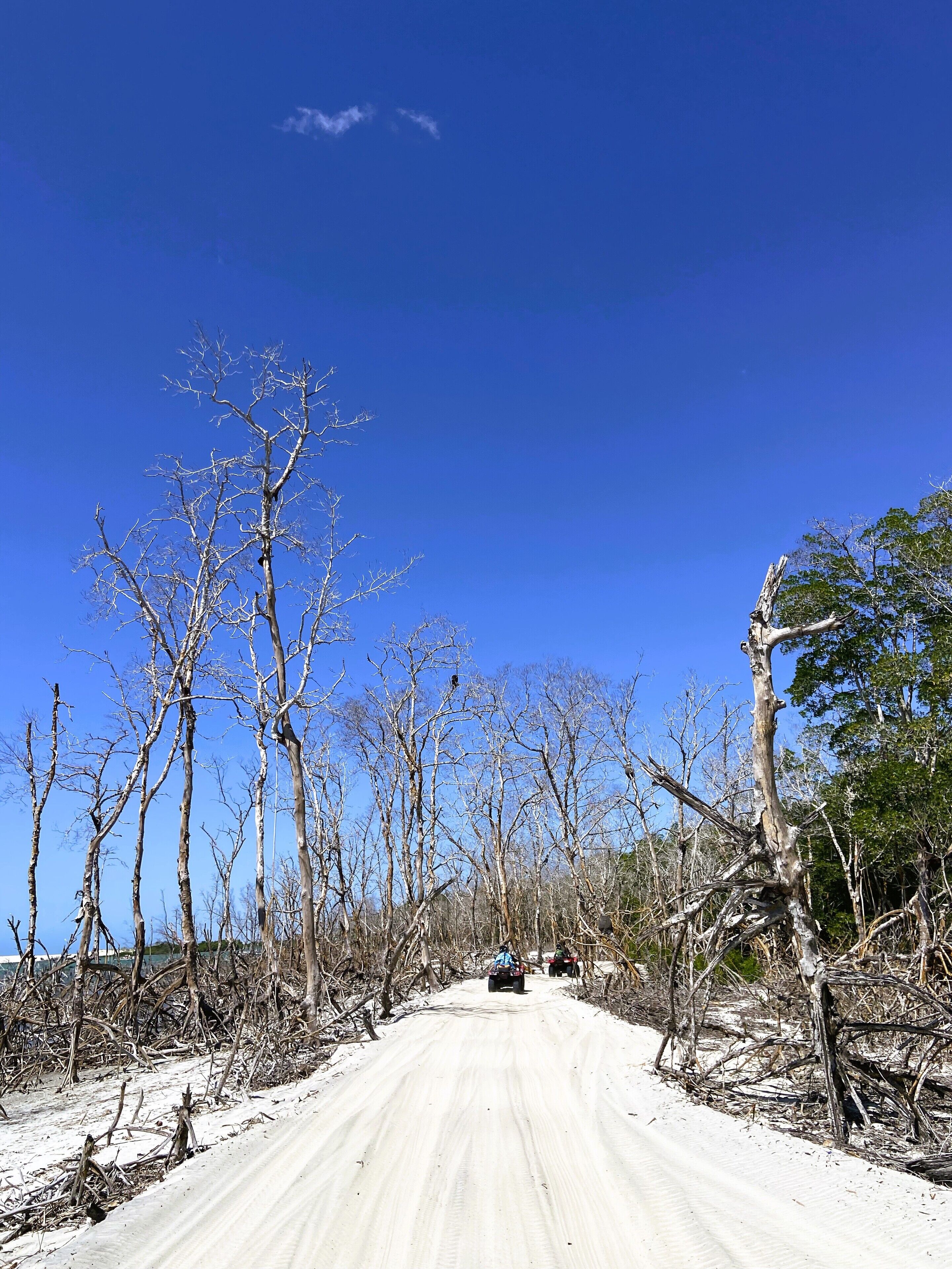 Foto - Pousada Hippopotamus Jeri