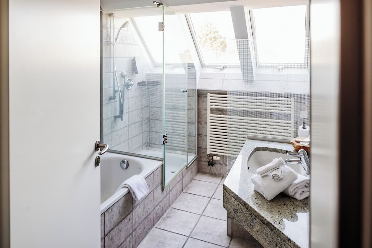 deluxe double room | bathroom | shower, free toiletries, hair dryer, bathrobes