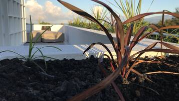 A rooftop garden with plants and a white structure.