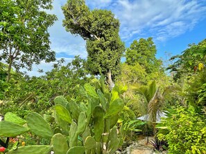 Unclassified image, 3 of 61, button - The Judy House Cottages and Rooms (Negril)