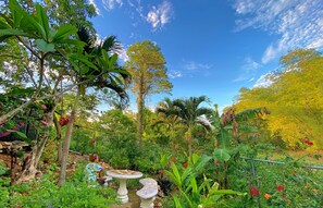 Front of property - The Judy House Cottages and Rooms (Negril)