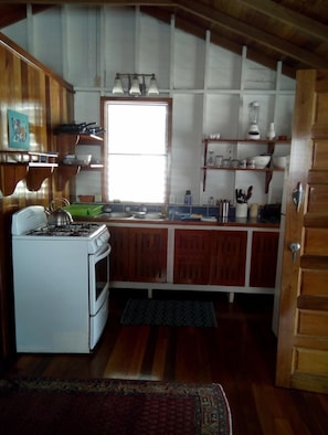Full-sized fridge, microwave, oven, stovetop