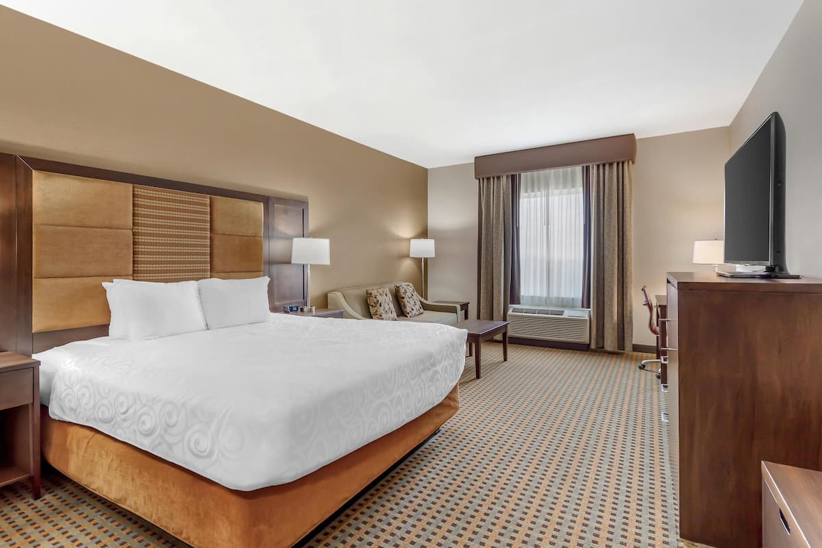 Standard Room, 1 King Bed with Sofa bed, Accessible, Non Smoking (with Sofabed)