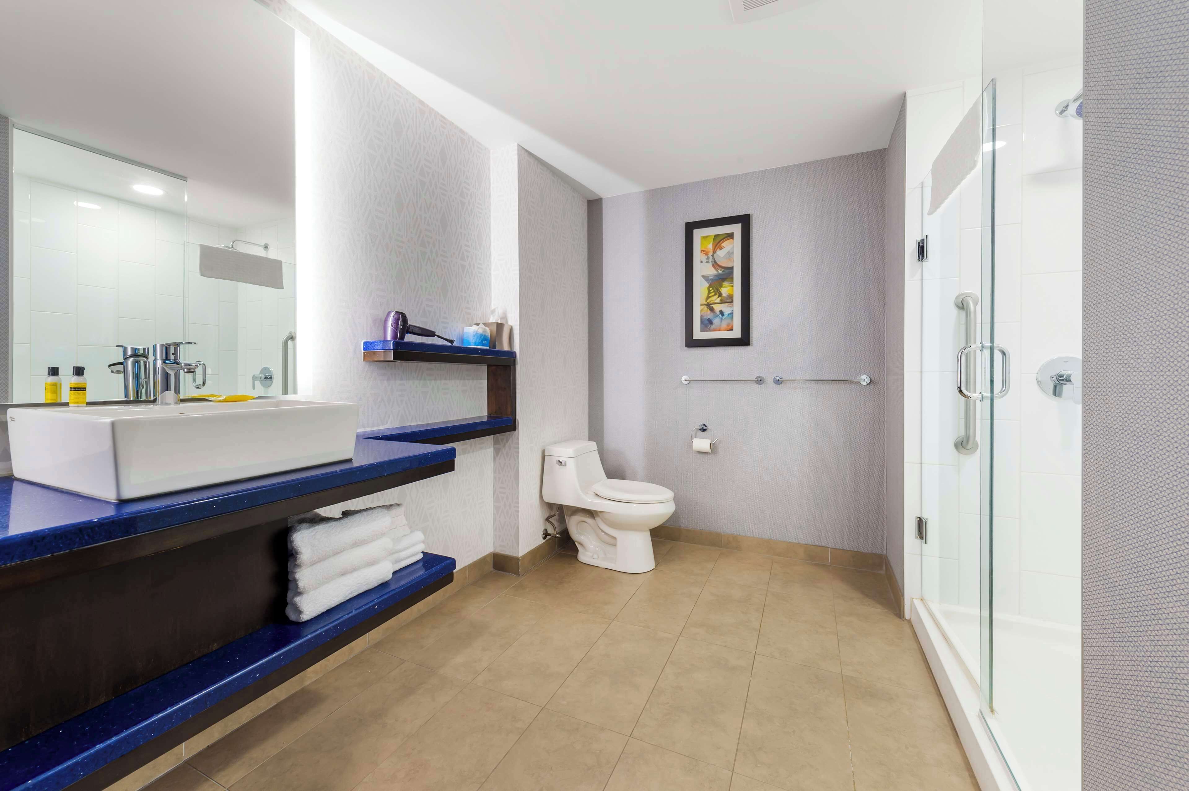 suite, 1 king bed, non smoking, refrigerator & microwave (with sofabed) | bathroom | shower, rainfall showerhead, free toiletries, hair dryer