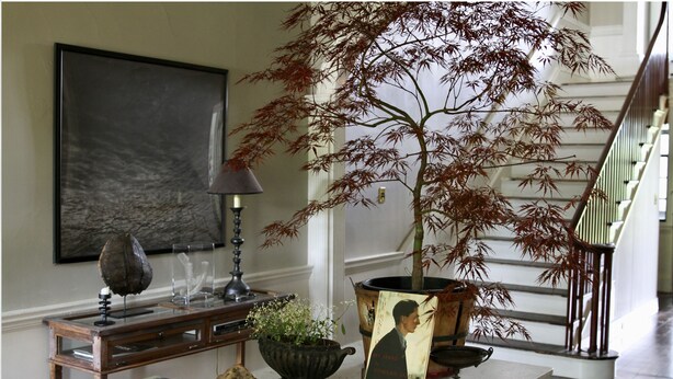 A well-lit room with a staircase, a table with books, a lamp, and a bonsai tree. - Inn at Kenmore Hall (Richmond)