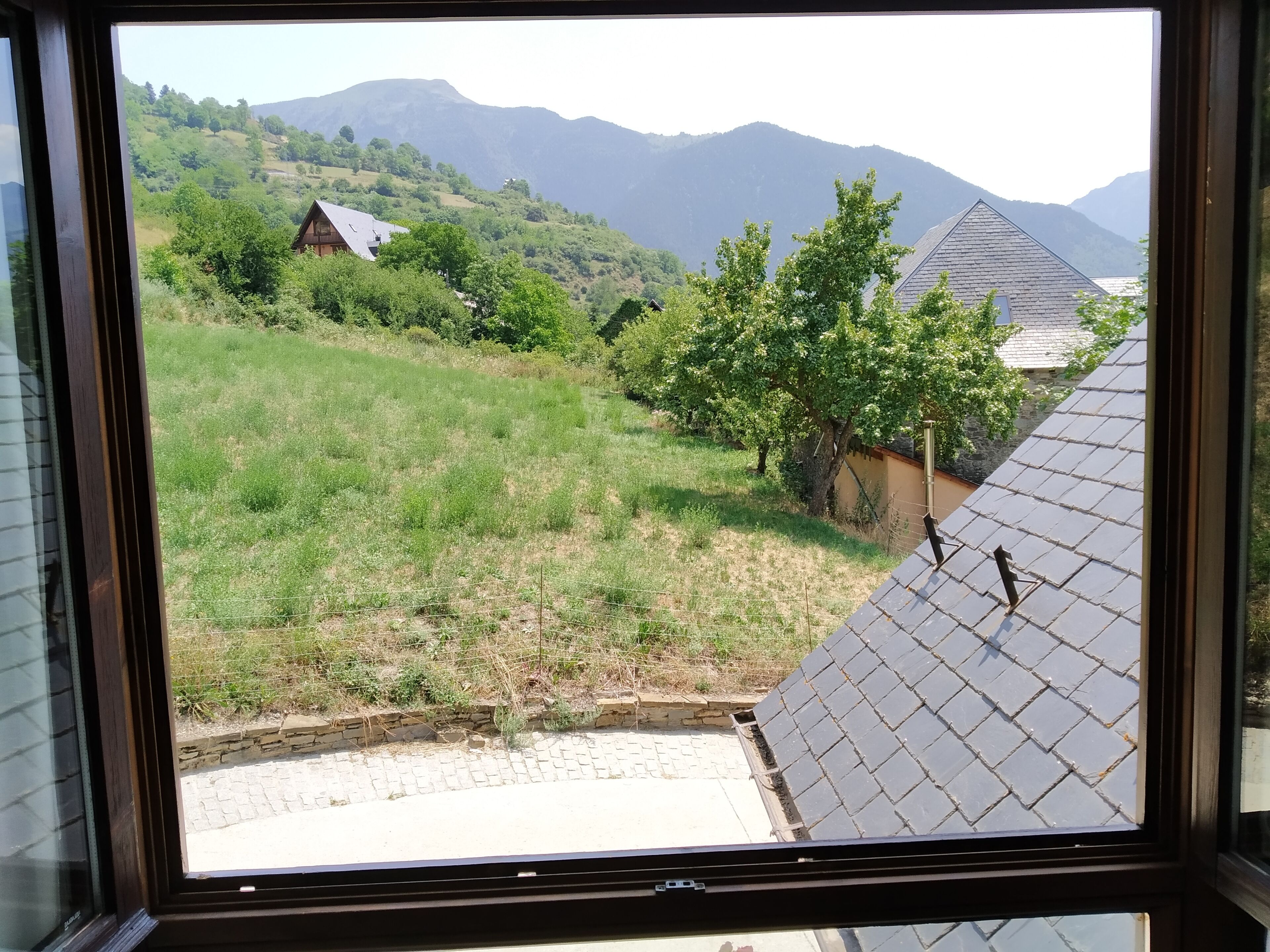 A view from a window overlooking a grassy field with trees and a mountain in the background.