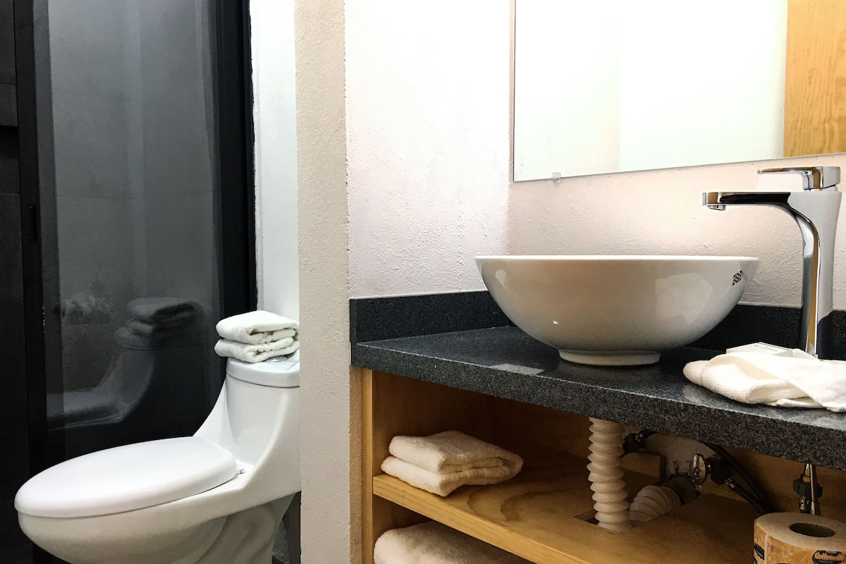 hair dryer, towels, soap, shampoo