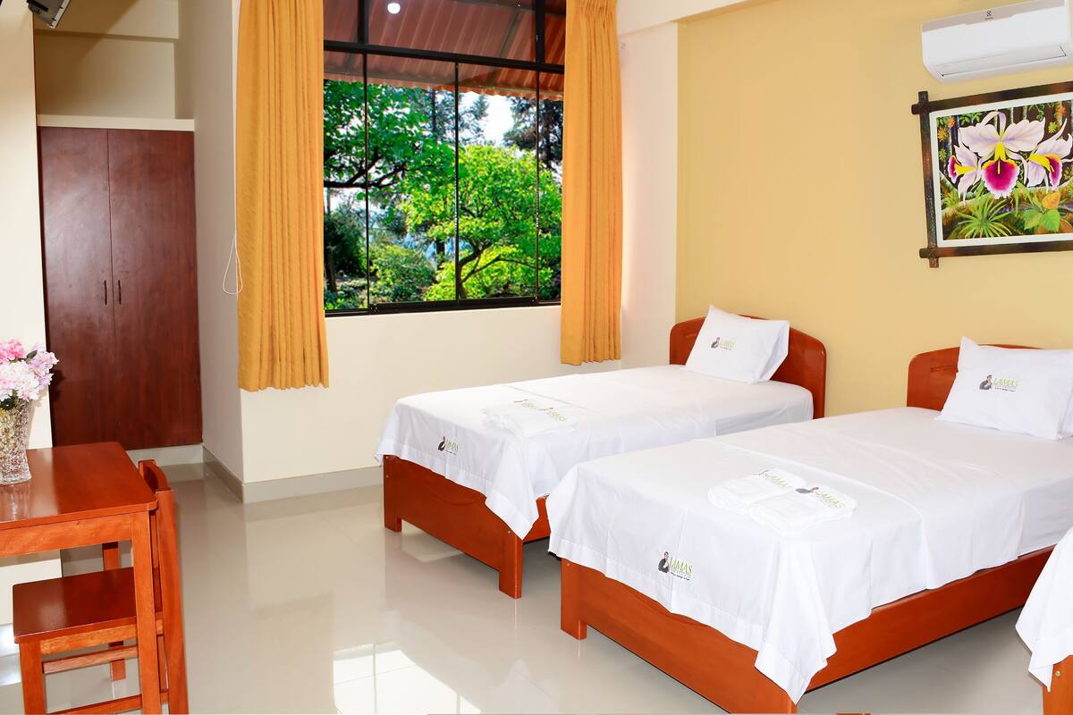 Triple Room, 3 Single Beds, Private Bathroom