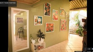 Un pasillo con obras de arte en las paredes, una planta en maceta y una silla.