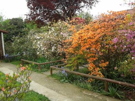 Jardín