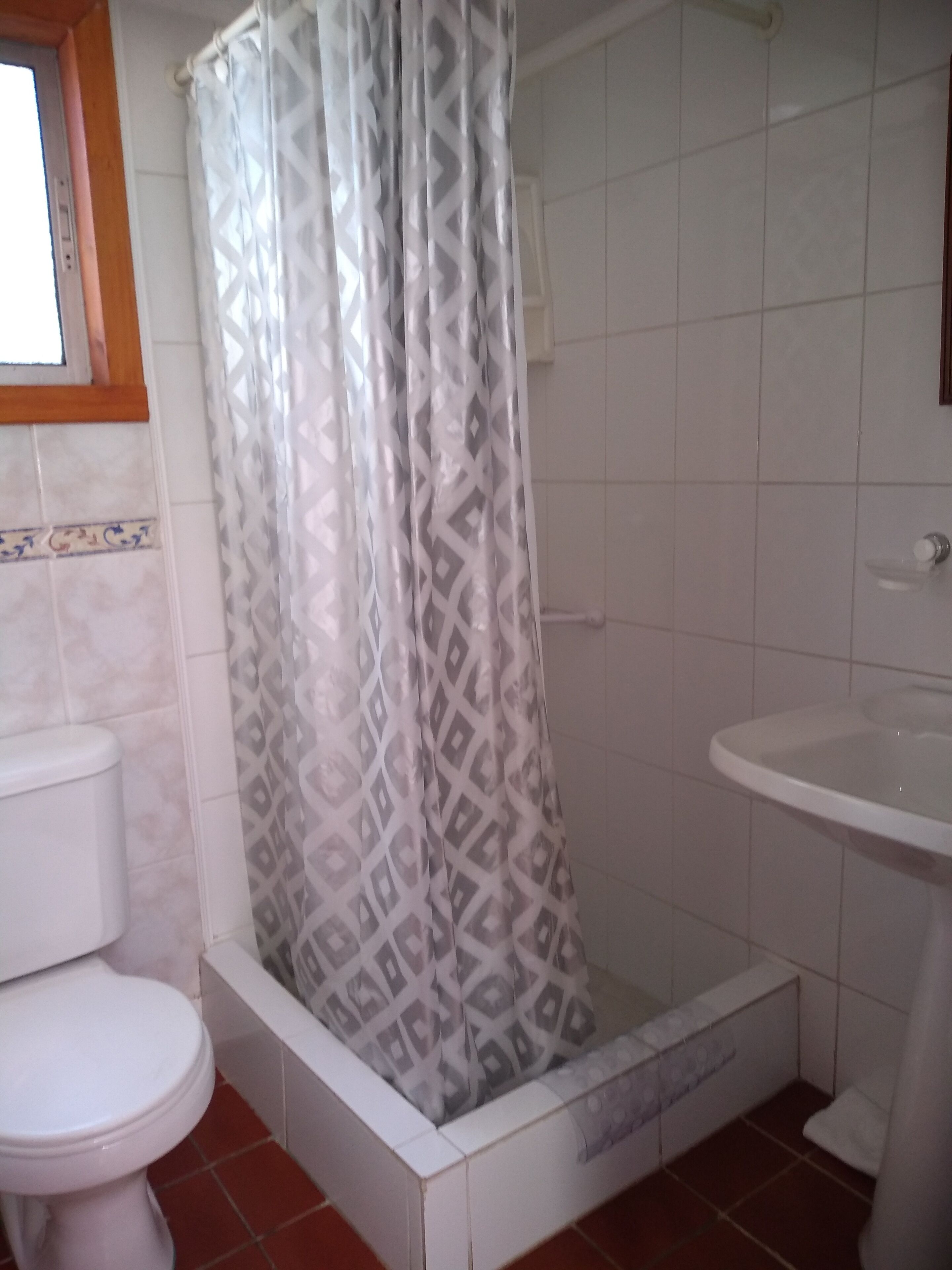 Une salle de bain avec un rideau de douche, des toilettes et un lavabo.