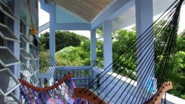 A hammock on a porch with a view of greenery. - Sapphire House (Caye Caulker)