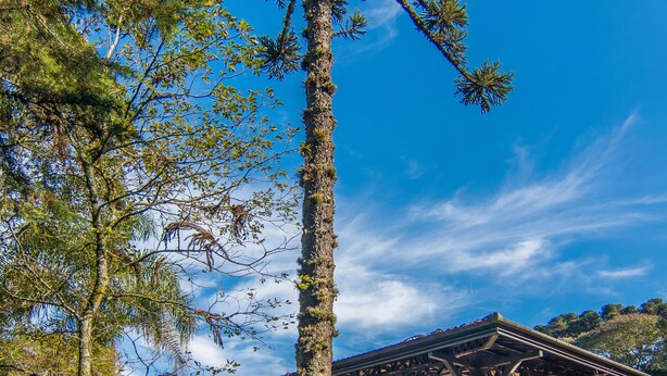 A red building with a covered patio area, surrounded by greenery and a tall tree. - Pousada Rosa Gramado (Gramado)