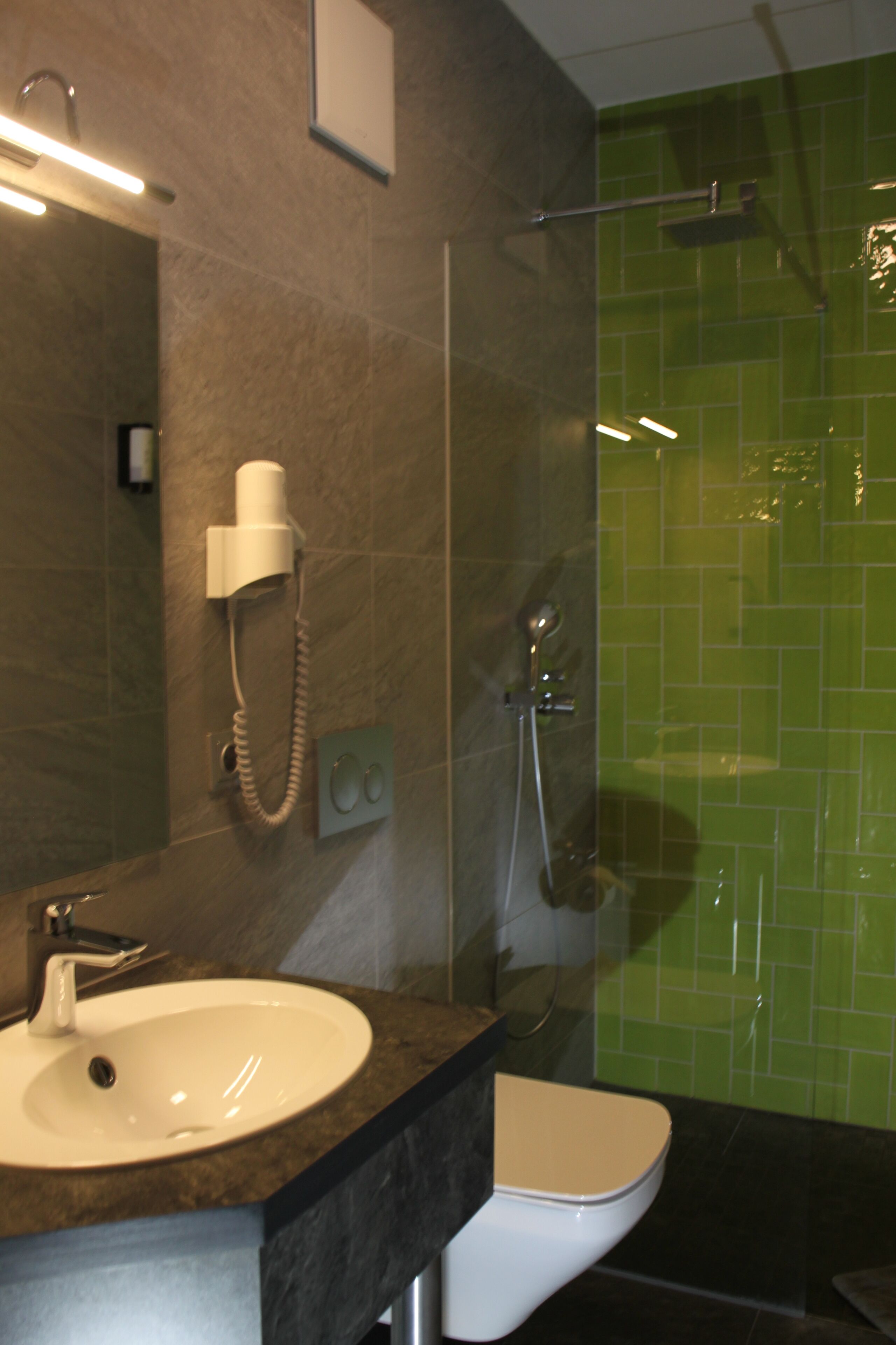 double room | bathroom shower