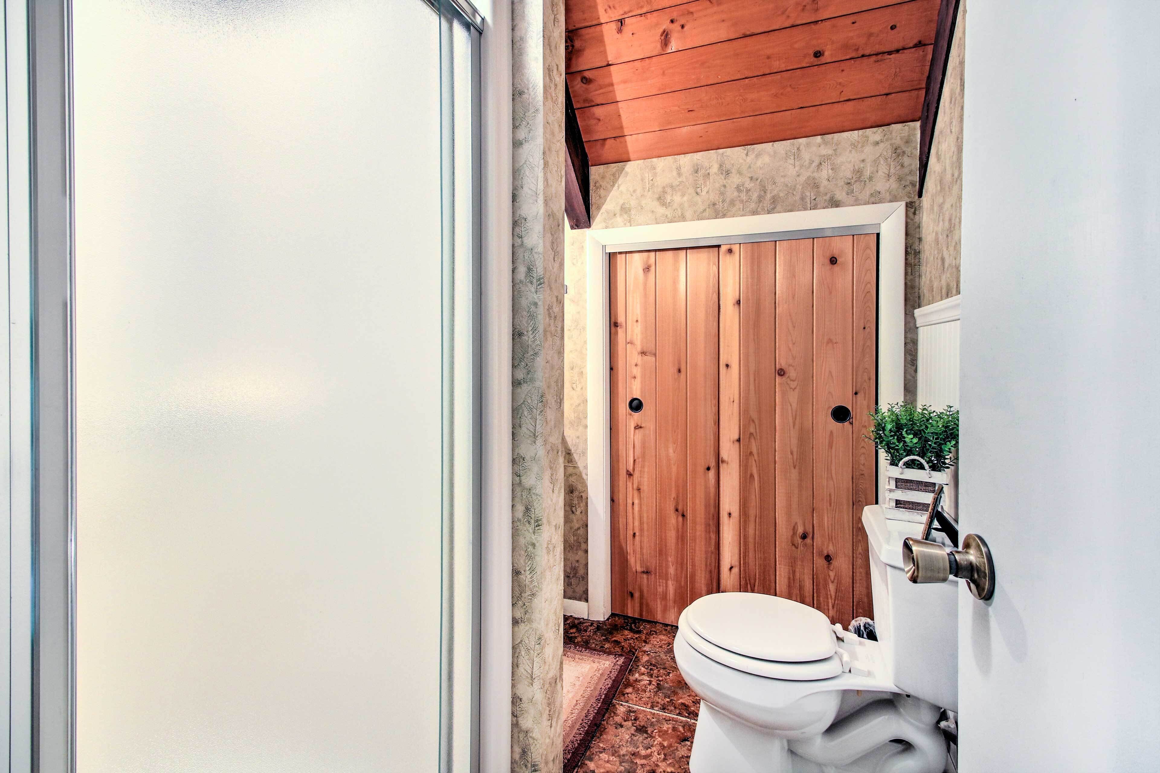 A bathroom with a wooden door, a toilet, and a small plant on the wall.